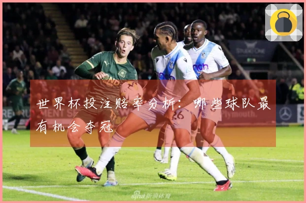 世界杯投注赔率分析：哪些球队最有机会夺冠