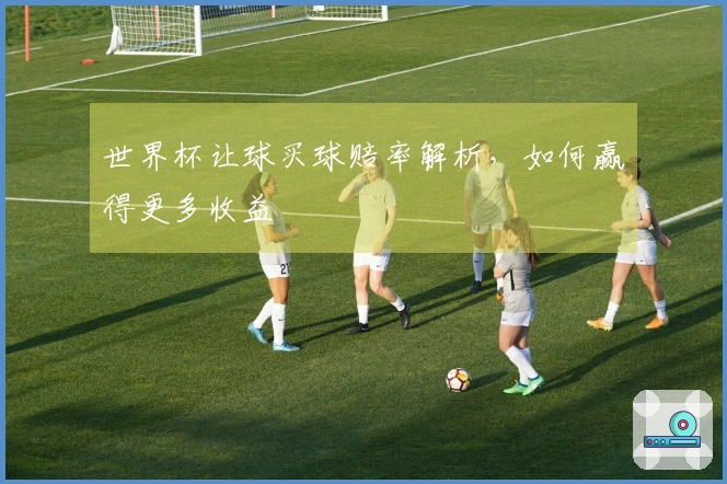世界杯让球买球赔率解析，如何赢得更多收益