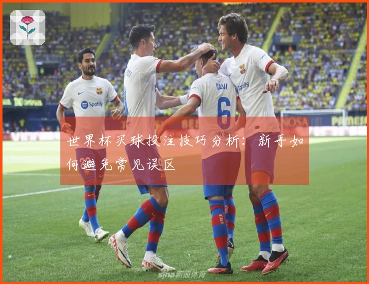 世界杯买球投注技巧分析：新手如何避免常见误区